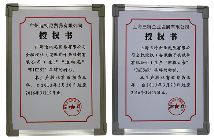 品牌授权书02.jpg