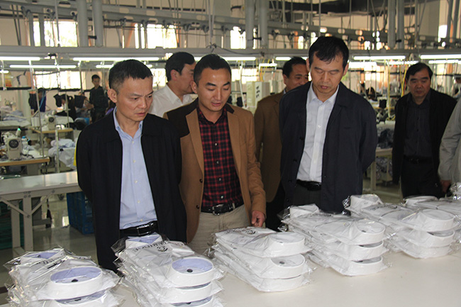 阜阳市操市长与人大王主任到公司视察.jpg 阜阳市操市长与人大王主任到公司视察.jpg